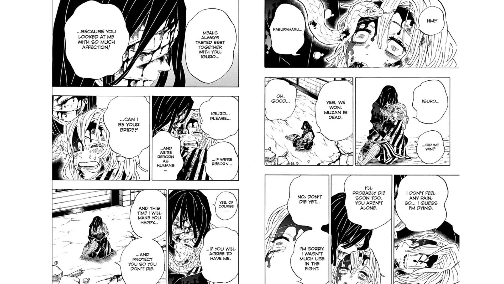 Mitsuri and Obanai's final moments in Chapter 200 of the Demon Slayer manga (Image via Shueisha)